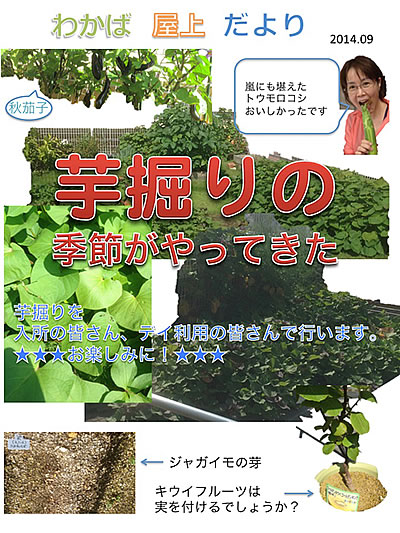 芋掘りの季節